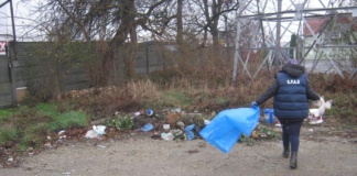 Sentințele pentru muncă în folosul comunității nu se respectă la Vaslui