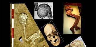 Conferință dedicată „frumuseții” morții – o abordare arheologică