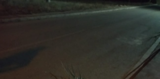 Vandalii care distrug pomii ornamentali din Bârlad, căutați pentru a fi pedepsiți