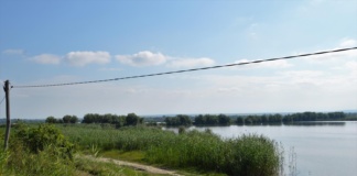 Femeie de 70 de ani, găsită complet dezbrăcată, rănită și inconștientă în fața fermei piscicole din Cârja