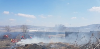 Apel al Primăriei Vaslui, în fața valului record de incendii de vegetație: „Respectați mediul înconjurător!”