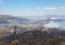 Trei incendii de vegetație, într-o singură zi, în județ, promovate de joc deschis. Pompierii transmis măsuri de prevenire