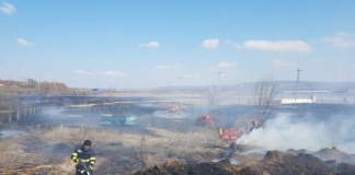 Trei incendii de vegetație, într-o singură zi, în județ, promovate de joc deschis. Pompierii transmis măsuri de prevenire
