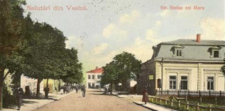 ADMINISRAŢIA ŞI ORGANIZAREA JUDECĂTOREASCĂ DIN ORAŞUL VASLUI, ÎN SECOLUL AL XIX-LEA (II)