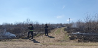 Vaslui: Amenzi pentru cei care au dat foc vegetației producând incendiu din zona Dimitrie Cantemir