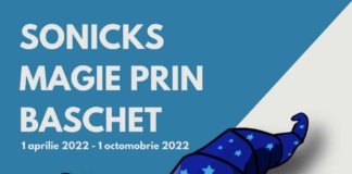 Preșcolarii și elevii bârlădeni, viitori baschetbaliști