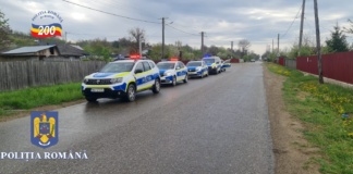 Bătăușii din Albești au fost reținuți