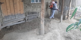Caz de pestă porcină africană în comuna Muntenii de Sus