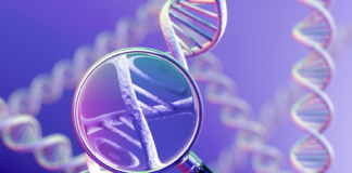 Dreptul la viață și testarea genetică (III)