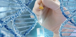 Dreptul la viață și testarea genetică (I)