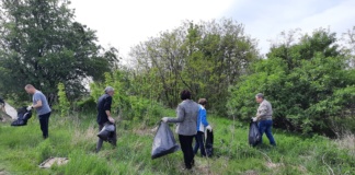 500 de kilograme de deșeuri, culese din pădurea Delea