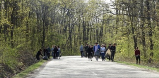 Pădurarii din Huși au strâns 700 de kg de deșeuri de pe marginea drumurilor