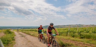 Cicliștii din Bârlad, prestație bună la „Maratonul Vinului”