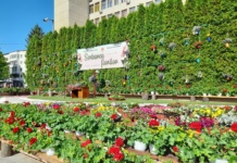 Scena din Centrul Civic al municipiului Vaslui va fi înlocuită