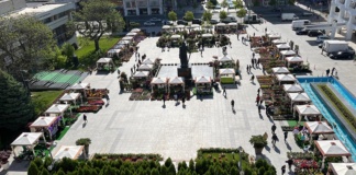 Serbarea Florilor 2022, încă o acțiune de succes pentru imaginea Vasluiului