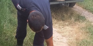 Cățel căzut în canal, salvat de pompierii vasluieni
