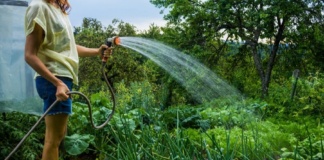 Autoritățile atenționează: Nu folosiți apa pentru udatul grădinilor!