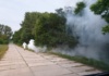 Dezinsecție astăzi, în tot Vasluiul