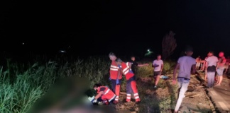 Căruțaș găsit mort, alături de cal, după un accident cu o mașină
