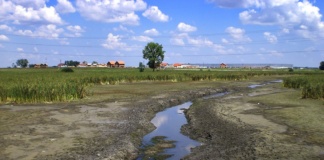 ANAR: Rezerva de apă din principalele 40 de lacuri de acumulare este în scădere. Vaslui, în topul județelor afectate de secetă