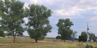 Începe amenajarea depoului pentru autobuzele electrice ale Bârladului