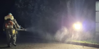 Insectele din Bârlad vor fi „vânate” de autorități și săptămâna viitoare!