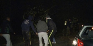 Doi ieșeni, bătuți bine la Draxeni