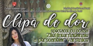 Ziua internațională a persoanelor vârstnice, marcată la Vaslui printr-un spectacol