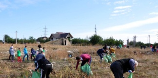 Ce zone vor fi ecologizate de voluntarii „Let’s do it, Romania!”?