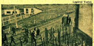 Martiriul de la Vaslui (suprimarea fizică – între crimă şi moarte martirică). În amintirea unui moment trist și dureros pe care este bine să nu îl uităm