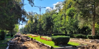 Grădina Publică Bârlad, interzisă vizitatorilor! Au început lucrările de reabilitare!