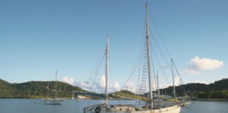 Documentarul „Marinarul”, proiectat la muzeul bârlădean