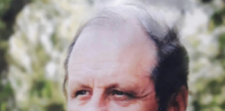 VASILE BAHRIM – In memoriam