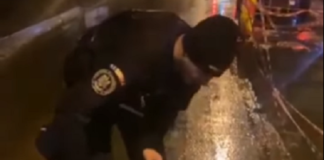 Jandarm, salvator al unui cățel lovit de mașină