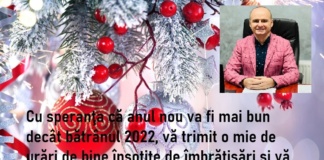 Mesaj cu ocazia Anului Nou al primarului comunei Vinderei, Ionuț Ghiur