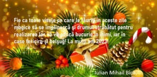 Mesajul senatorului PNL Iulian Mihail Bîca cu ocazia Anului Nou