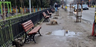 Pesediștii bârlădeni acuză o „crimă împotriva mediului și a oamenilor” din partea primarului