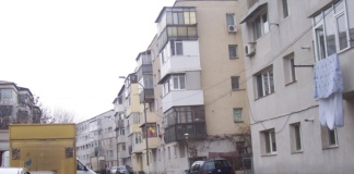 Ce se va întâmpla cu maidanezii din Bârlad?