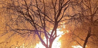Incendiu devastator noaptea trecută la Murgeni: au ars peste 30 de hectare de stuf