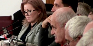 Cum poate scăpa Bârladul de maidanezi?