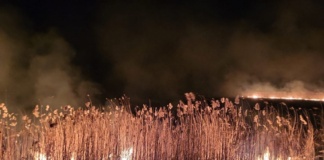 Incendiile de vegetație fac ravagii în județ