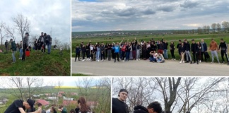Elevii negreșteni, implicați activ în protejarea mediului