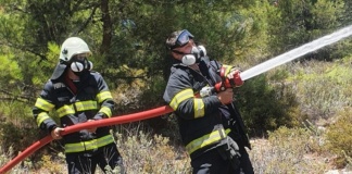Doi pompieri vasluieni, în rândul noului contingent trimis în Grecia pentru a ajuta la stingerea incendiilor
