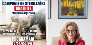 Proprietarii de câini și pisici, din Bârlad, își pot steriliza gratuit animalele de companie, acțiune susținută de viceprimarul USR