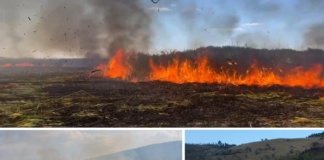 Pompierii vasluieni avertizează! Aveți grijă la incendiile de vegetație uscată!