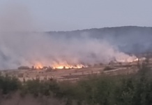 Direcția de Mediu reamintește obligațiile legale, în contextul creșterii alarmante a incendiilor de vegetație