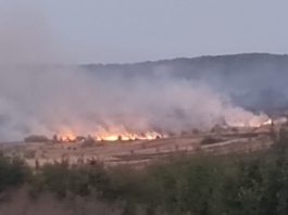 50 de hectare de vegetaţie uscată, arse într-un incendiu produs la Băcești