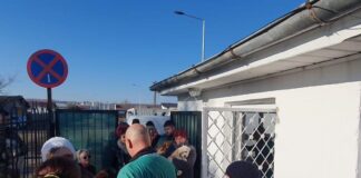 Acțiunea de sterilizare gratuită a animalelor de companie din Bârlad, un succes