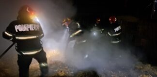 Incendiu după incendiu: Flăcările au mistuit depozite de furaje din Codăești și Pogonești