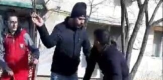 Hingherii bârlădeni, înjurați, amenințați și bătuți de iubitorii maidanezilor din oraș
